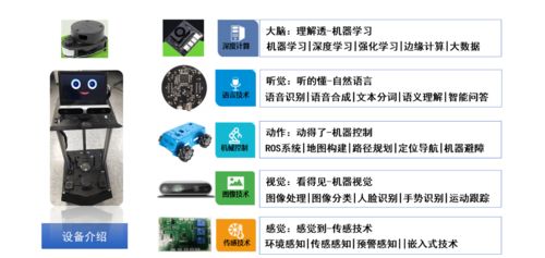 一睹为快 实验室再度上新，探索人工智能通用应用系统的新前沿